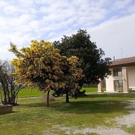Agriturismo Trabucco Casale sul Sile Exteriör bild