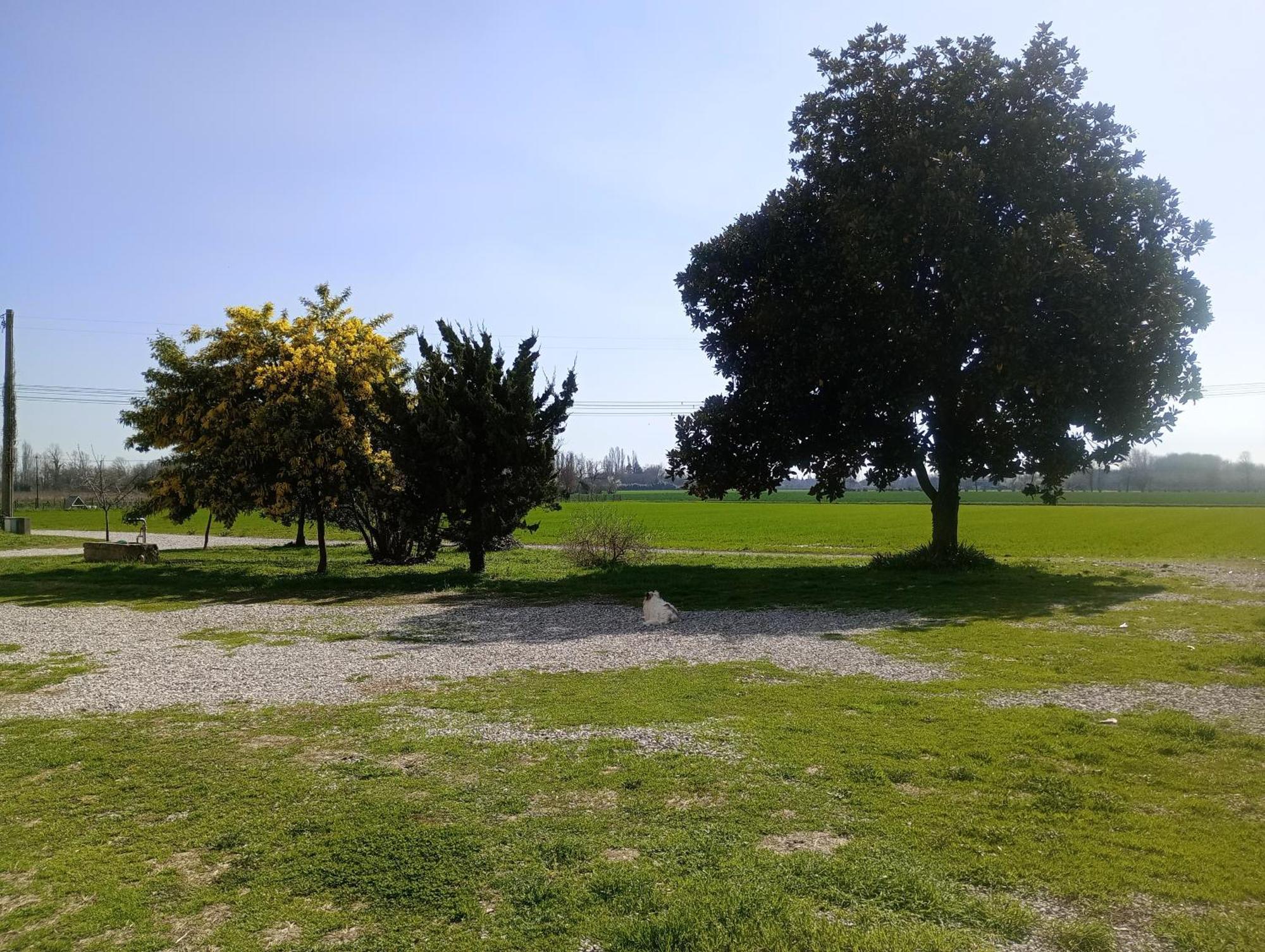 Agriturismo Trabucco Casale sul Sile Exteriör bild